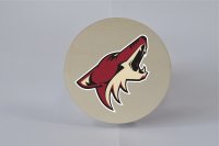 DŘEVĚNÝ TÁCEK - ARIZONA COYOTES